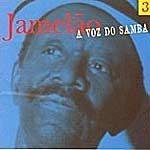 A Voz do Samba - Vol. 3