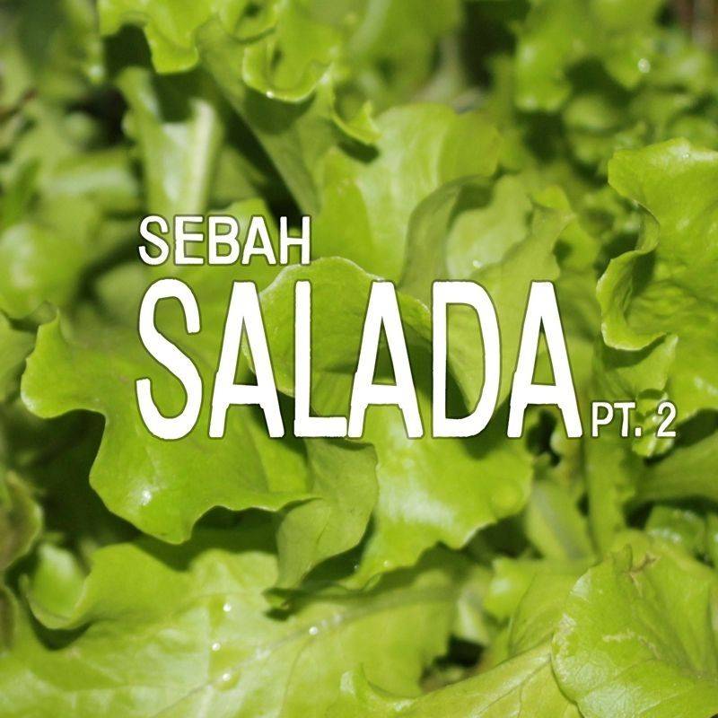 Salada, Pt. 2