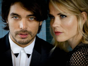 The common linnets