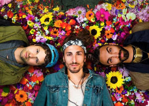 Magic Giant
