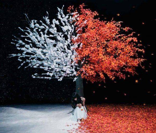 Akane Sasu/Everlasting Snow (EP)