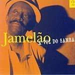 A Voz do Samba - Vol. 2
